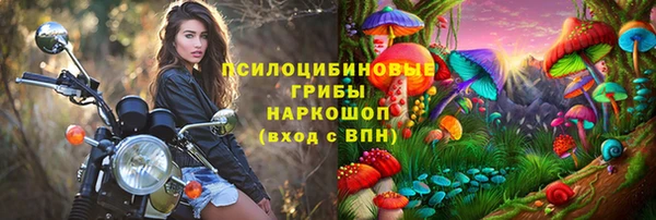 амф Новокубанск