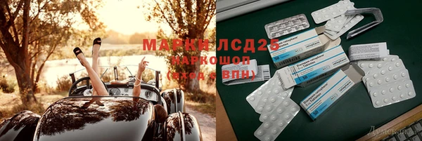 амф Новокубанск