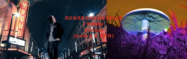 ГАЛЛЮЦИНОГЕННЫЕ ГРИБЫ Нефтекумск