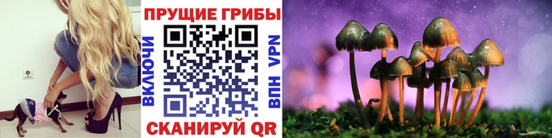 даркнет сайт  Весьегонск  Галлюциногенные грибы GOLDEN TEACHER 